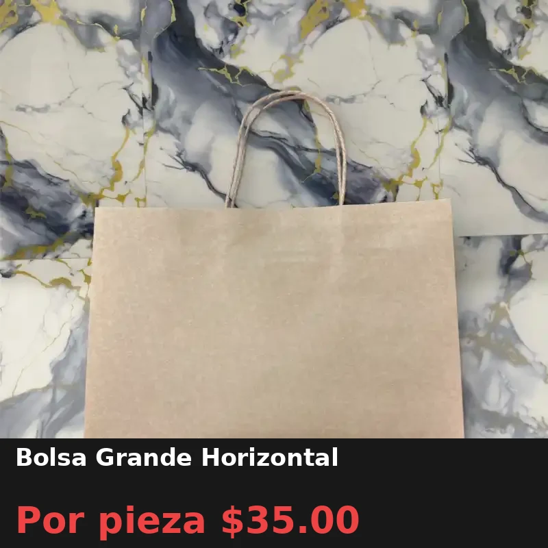 Bolsa Grande Horizontal