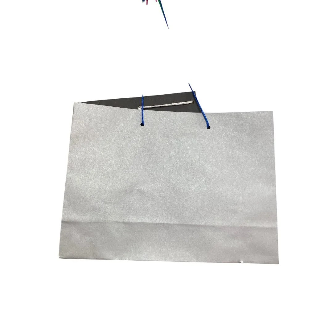 Bolsa Boutiquera Grande 12